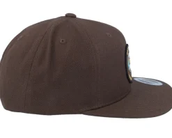 Bald Eagle Dark Brown Snapback - Wild Spirit