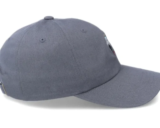 Bernie Inauguration Dark Grey Dad Cap - Iconic