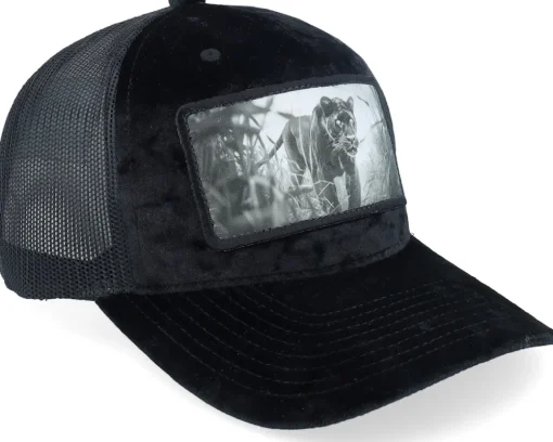 Black Panther Big Patch Velvet Navy Trucker - Calza Pennello