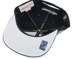 Boston Bruins Evergreen Black White Vintage Black Snapback - Mitchell & Ness