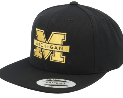 Cal Bears 3d Logo Black Snapback - Park Fields