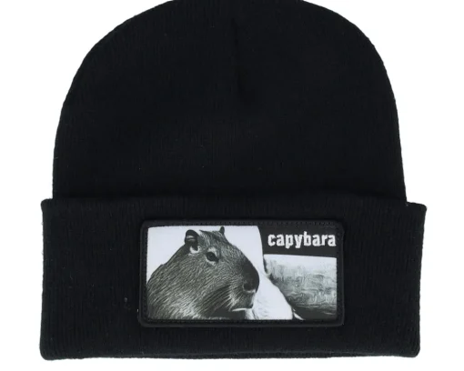 Capybara Sofa Beanie Black Cuff - Iconic
