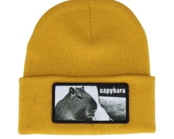 Capybara Sofa Beanie Black Cuff - Iconic