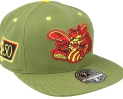 Charlotte Hornets Dusty Olive Fitted - Mitchell & Ness