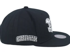 Charlotte Hornets Evergreen Black/White Snapback - Mitchell & Ness
