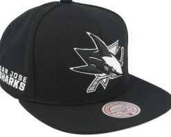 Charlotte Hornets Evergreen Black/White Snapback - Mitchell & Ness