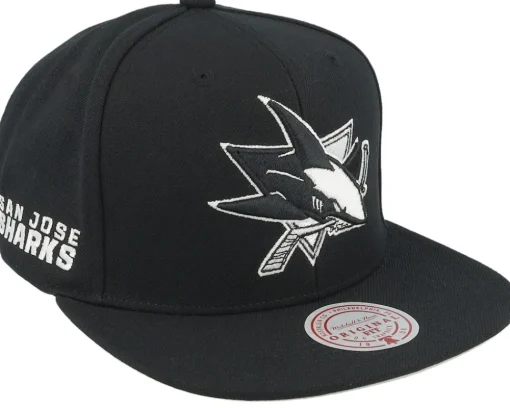 Charlotte Hornets Evergreen Black/White Snapback - Mitchell & Ness
