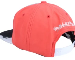 Chicago Bulls Day 5 Grey/Red Snapback - Mitchell & Ness