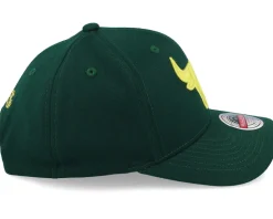 Chicago Bulls Green Dream Dark Green Adjustable - Mitchell & Ness