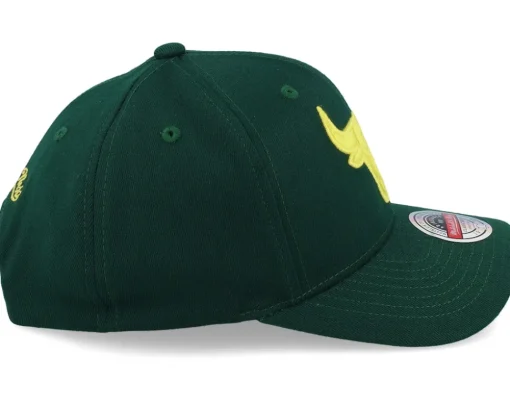 Chicago Bulls Green Dream Dark Green Adjustable - Mitchell & Ness
