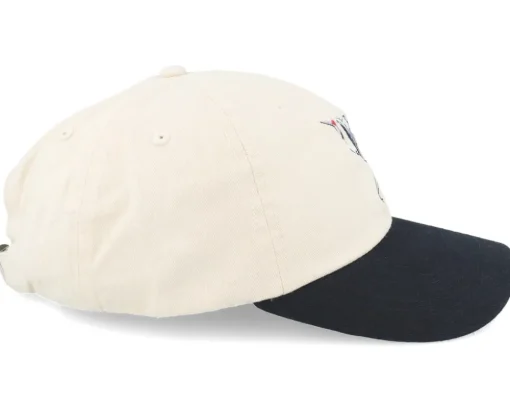 Crane Washed Stone/Black Dad Cap - Wild Spirit