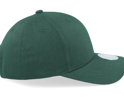 Crown Side Embroidered Moss Green Adjustable - Iconic