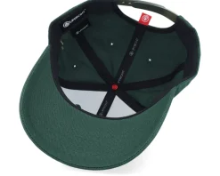 Crown Side Embroidered Moss Green Adjustable - Iconic
