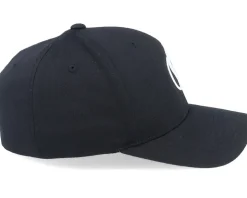 3D Fox Black Flexfit - Iconic