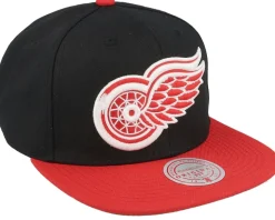 Detroit Red Wings Team 2 Tone 2.0 Black/Red Snapback - Mitchell & Ness