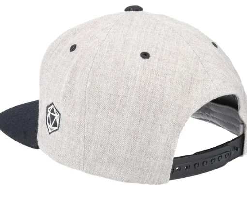 Dice And Dragons Heather Grey/Black Snapback - Critiql Hit