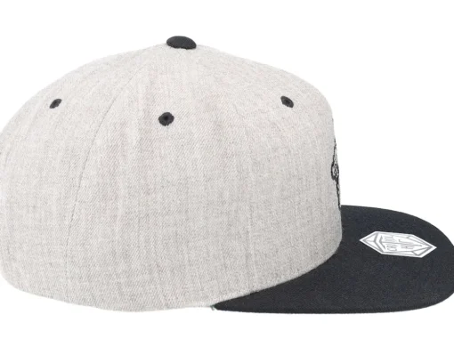 Dice And Dragons Heather Grey/Black Snapback - Critiql Hit