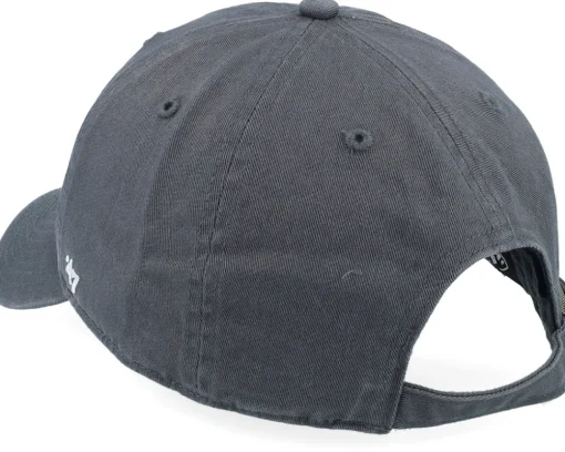 Dog Base Runner Icon 47 Clean Up Charcoal Dad Cap - 47 Brand