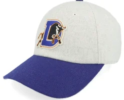 Durham Bulls Archive Legend Ivory Royal Dad Cap - American Needle