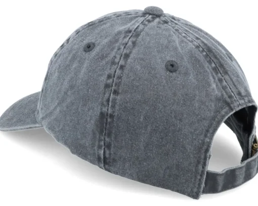Floating & Chilling Beaver Black Dad Cap - Wild Spirit