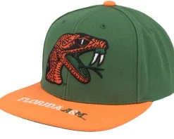 Florida A&M Logo Bill Green/Orange Snapback - Mitchell & Ness