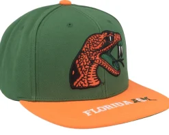Florida A&M Logo Bill Green/Orange Snapback - Mitchell & Ness