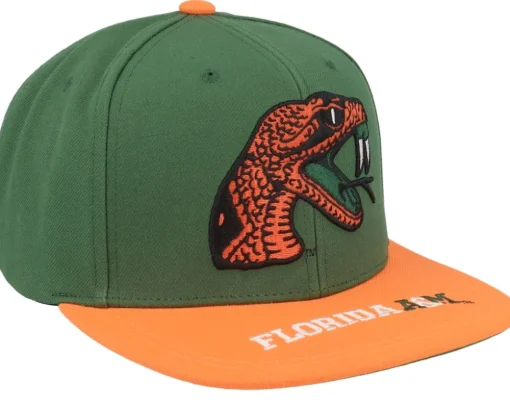 Florida A&M Logo Bill Green/Orange Snapback - Mitchell & Ness