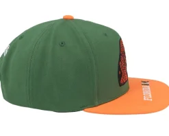 Florida A&M Logo Bill Green/Orange Snapback - Mitchell & Ness