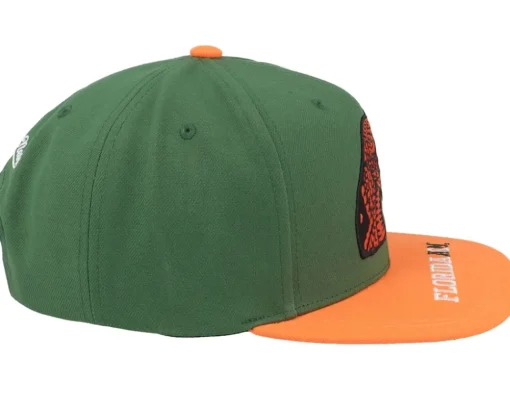 Florida A&M Logo Bill Green/Orange Snapback - Mitchell & Ness