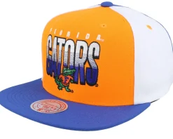 Florida Gators Billboard 2 Orange/Navy Snapback - Mitchell & Ness