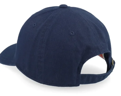 Flw Twill New Raglan Frank Lloyd Wright Navy Dad Cap - American Needle