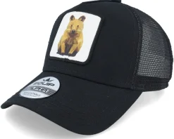 Geometry Quokka Patch Black Trucker - Iconic