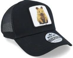 Geometry Quokka Patch Black Trucker - Iconic