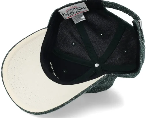 Glacier Canopy Emerald Dad Cap - American Needle
