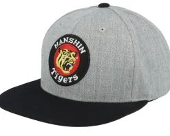 Hanshin Tigers Npn Archive 400 Heather Gray/Black Snapback - American Needle