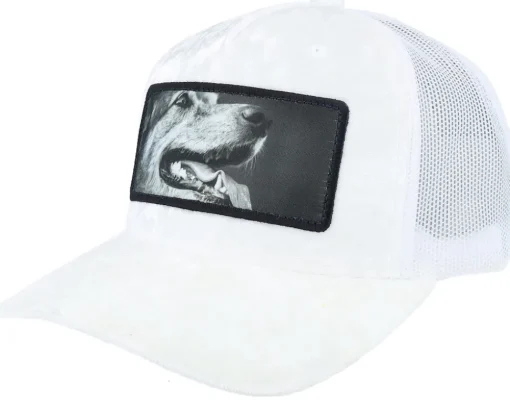 Happy Dog Big Patch Velvet Black Trucker - Calza Pennello