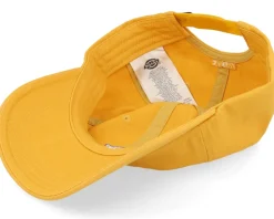 Hardwick Honey Gold Dad Cap - Dickies