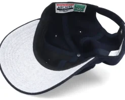 Hartford Whalers NHL Archive Legend Dad Cap - American Needle