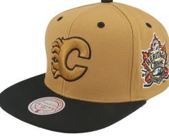 Hatstore Exclusive x Vancouver Canucks Heritage Brown/Black Snapback - Mitchell & Ness