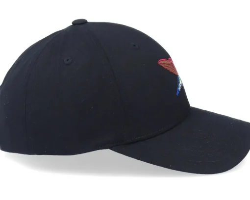 Hummingbird Curved Black Adjustable - Iconic