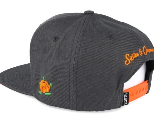 Into The Wild Charcoal Snapback - Sqrtn