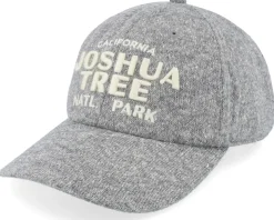 Joshua Tree Canopy Gray Adjustable - American Needle