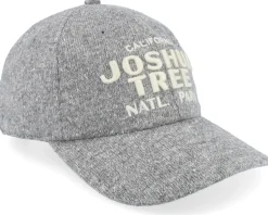 Joshua Tree Canopy Gray Adjustable - American Needle