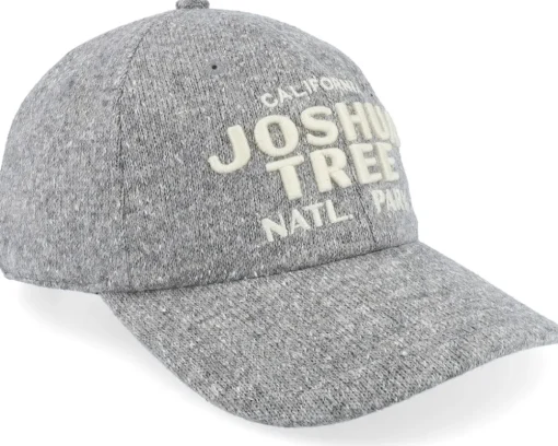 Joshua Tree Canopy Gray Adjustable - American Needle