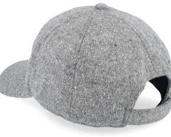 Joshua Tree Canopy Gray Adjustable - American Needle