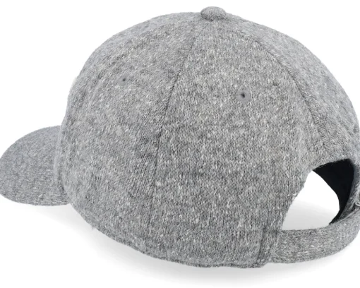 Joshua Tree Canopy Gray Adjustable - American Needle