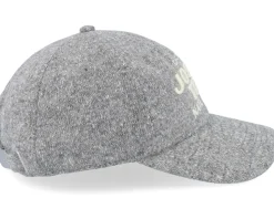 Joshua Tree Canopy Gray Adjustable - American Needle