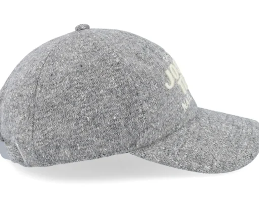 Joshua Tree Canopy Gray Adjustable - American Needle