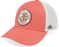 Joshua Tree National Park Valin Ivory Trucker - American Needle