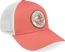 Joshua Tree National Park Valin Ivory Trucker - American Needle